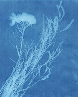 by Kaitlin, a PEFO Ranger