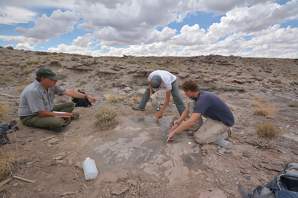 BLG_PEFO_053