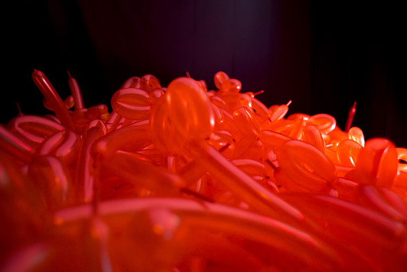Gold penis balloons in the installation