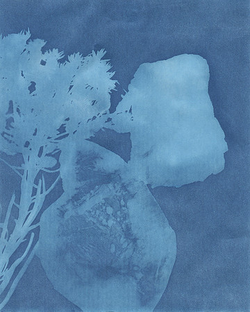 by Madeleine from New York