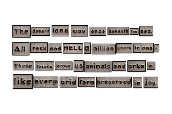 Fossil Seashells