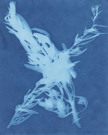 by Carmen Edora from Victoria, British Columbia