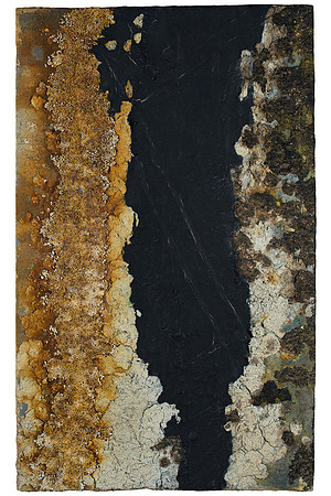 Unknown Corrosive by Daniel Bernard Gray